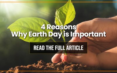 Gardening Tips for Earth Day