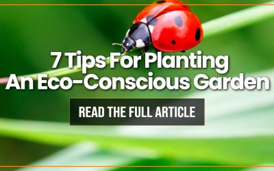 7 Tips For Planting An Eco-Conscious Garden