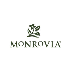 monrovia-holly-days-nursery-landscaping-horticulture-plants-trees-shrubs-horsham-ambler-pa