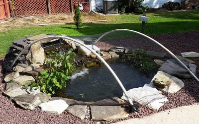 Putting Your Pond To Bed For Winter