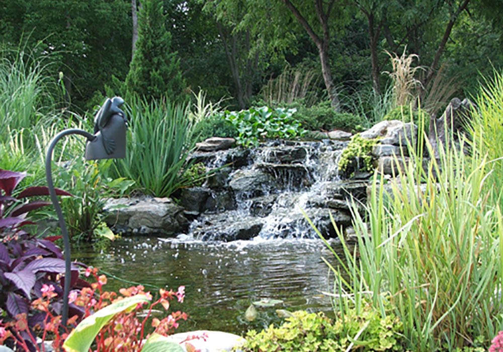 Pond & Aquatics – Holly Days Nursery, Garden Center, & Landscaping