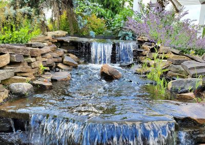 pond-aquatics-holly-days-nusery-landscaping-service-pond-repair-maintenance-horsham-ambler-8