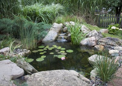 Pond & Aquatics – Holly Days Nursery, Garden Center, & Landscaping