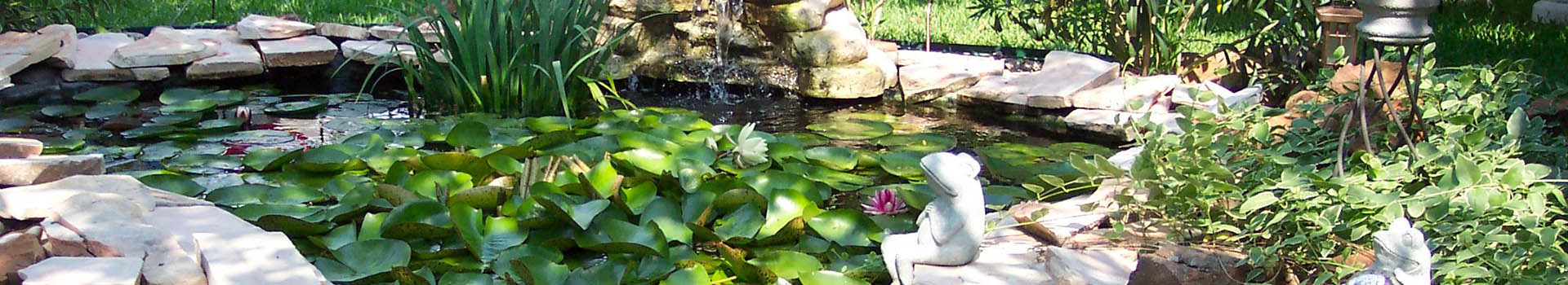 pond-holly-days-nursery-landscaping-horsham-ambler-nursery