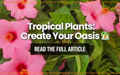 Tropical Plants—Create an Oasis 🌺